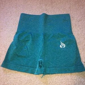 Teal Ryderwear shorts